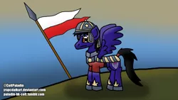 Size: 2516x1415 | Tagged: safe, artist:jrapcdaikari, derpibooru import, oc, oc:paladin colt, unofficial characters only, pegasus, pony, armor, banner, helmet, male, poland, sabaton, solo, spear, stallion, weapon, winged hussar