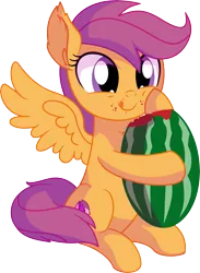 Size: 5815x7950 | Tagged: safe, artist:cyanlightning, derpibooru import, scootaloo, pegasus, pony, .svg available, absurd resolution, chest fluff, cute, cutealoo, ear fluff, eating, female, filly, food, hair, simple background, sitting, solo, tongue out, transparent background, vector, watermelon