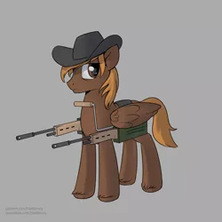 Size: 1550x1550 | Tagged: safe, artist:hardbrony, derpibooru import, oc, oc:calamity, unofficial characters only, pegasus, pony, fallout equestria, fanfic, battle saddle, cowboy hat, dashite, fanfic art, gray background, gun, hat, hooves, male, rifle, simple background, solo, stallion, weapon, wings