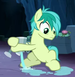 Size: 674x687 | Tagged: safe, derpibooru import, screencap, sandbar, earth pony, pony, uprooted, cropped, hooves, male, solo, watering can