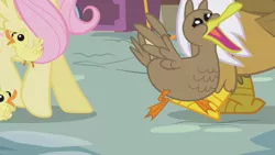 Size: 1280x720 | Tagged: safe, derpibooru import, screencap, fluttershy, gilda, bird, duck, gryphon, pony, griffon the brush off