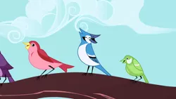 Size: 1280x720 | Tagged: beak, bird, blue jay, derpibooru import, friendship is magic, open beak, open mouth, safe, screencap, songbird