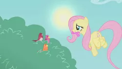 Size: 1280x720 | Tagged: safe, derpibooru import, screencap, constance, fluttershy, bird, pegasus, pony, worm, dragonshy, female, flying, mare, mouth hold