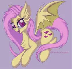 Size: 1462x1400 | Tagged: safe, artist:prplepsychopath, derpibooru import, fluttershy, bat pony, pony, bat ponified, chest fluff, colored pupils, cute, ear fluff, flutterbat, open mouth, purple background, race swap, shyabates, shyabetes, simple background, solo