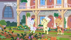 Size: 1920x1080 | Tagged: safe, derpibooru import, screencap, cactus fruit, pearly stitch, earth pony, pony, the point of no return, background pony, bipedal, discovery family logo, elderly, eyes closed, female, flower, food, garden, male, mare, potted plant, pumpkin, silver stable community, somnambula resident, stallion, tennis ball, tomato, trio, vine, walker, yoga