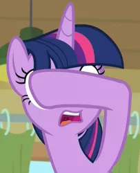 Size: 878x1080 | Tagged: safe, derpibooru import, screencap, twilight sparkle, twilight sparkle (alicorn), alicorn, pony, the point of no return, covering eyes, cropped, facepalm, female, gasp, mare, open mouth, reaction image, shocked, solo, uvula