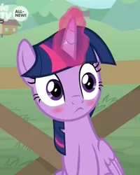Size: 822x1029 | Tagged: safe, derpibooru import, screencap, twilight sparkle, twilight sparkle (alicorn), alicorn, pony, the point of no return, blushing, blushlight sparkle, cropped, cute, embarrassed, female, frown, glowing horn, horn, mare, sitting, twiabetes, wide eyes