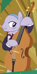 Size: 310x610 | Tagged: safe, derpibooru import, screencap, unnamed character, unnamed pony, earth pony, pony, dungeons and discords, background pony, cropped, double bass, male, musical instrument, playing instrument, solo, stallion