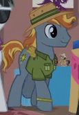 Size: 115x166 | Tagged: safe, derpibooru import, screencap, unnamed character, unnamed pony, earth pony, pony, stranger than fan fiction, background pony, clothes, cropped, fake wings, hat, male, shirt, solo, stallion