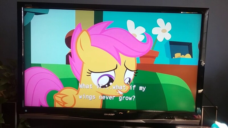 Size: 1280x720 | Tagged: safe, derpibooru import, screencap, scootaloo, pony, flight to the finish, photo, picture of a screen, sharp, sharp aquos, solo, subtitle, television, text