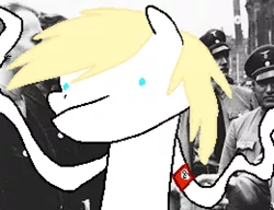 Size: 2600x2000 | Tagged: safe, artist:uglypartyhat, deleted from derpibooru, derpibooru import, oc, oc:aryanne, unofficial characters only, pony, aryan, aryan pony, blonde, meme, nazi, nazipone, photo, swastika, wat, wavy arms