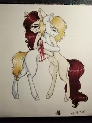 Size: 3120x4160 | Tagged: grimdark, artist:uglypartyhat, derpibooru import, oc, oc:connor, unofficial characters only, pony, backstab, blood, crying, friendship, glasses, happy, hug, knife, murder, photo, sad, smiling, traditional art