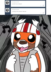 Size: 800x1133 | Tagged: safe, artist:askwinonadog, derpibooru import, winona, dog, ask winona, ask, cockpit, helmet, music notes, solo, star wars, starfighter, tongue out, tumblr, x-wing