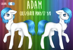Size: 2200x1500 | Tagged: safe, artist:uglypartyhat, derpibooru import, oc, oc:adam, unofficial characters only, earth pony, pony, reference sheet