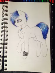 Size: 1024x1366 | Tagged: safe, artist:uglypartyhat, derpibooru import, oc, oc:adam, unofficial characters only, earth pony, pony, armband, jewelry, pendant, photo, traditional art