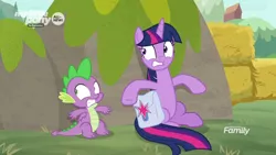 Size: 1366x768 | Tagged: safe, derpibooru import, screencap, spike, twilight sparkle, alicorn, dragon, the point of no return, bag, discovery family logo, hay bale, hiding, saddle bag, taking cover, twilight sparkle (alicorn), winged spike