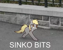 Size: 1429x1134 | Tagged: safe, derpibooru import, edit, derpy hooves, pony, caption, cursed image, dumb running ponies, female, half cat, image macro, mare, meme, not salmon, ponified animal photo, shitposting, silly, silly pony, sinko peso, solo, spanish, text, two legged creature, wat