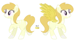 Size: 1024x547 | Tagged: safe, artist:meimisuki, artist:palerose522, artist:xgeneralmarshmallowx, derpibooru import, oc, oc:angelic lights, unofficial characters only, angel pony, original species, pegasus, pony, angel, base used, blaze (coat marking), female, mare, pale belly, raised hoof, reference sheet, simple background, solo, transparent background