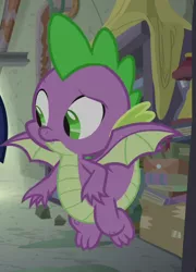 Size: 414x576 | Tagged: claws, cropped, derpibooru import, dragon, male, safe, screencap, solo, spike, the point of no return, toes, winged spike, wings