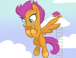 Size: 1111x847 | Tagged: artist needed, safe, derpibooru import, scootaloo, smolder, ponified, pegasus, pony, 30 minute art challenge, :o, cloud, duo, female, floppy ears, flying, grumpy, ladder, lidded eyes, look-alike, looking down, mare, open mouth, ponified smolder, scootaloo is not amused, sky, solo focus, species swap, spread wings, unamused, wings