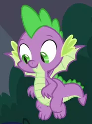 Size: 225x302 | Tagged: claws, cropped, cute, cute little fangs, derpibooru import, dragon, fangs, flying, male, safe, screencap, smiling, spike, the point of no return, toes, winged spike, wings