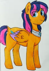 Size: 1280x1854 | Tagged: safe, artist:matbenetti17, derpibooru import, oc, oc:caelus, unofficial characters only, pegasus, pony, male, next generation, offspring, parent:flash sentry, parent:twilight sparkle, parents:flashlight, pegasus oc, royalty, solo, teenager, traditional art, wings