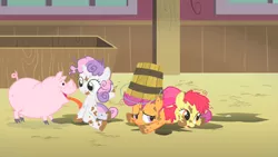 Size: 1280x720 | Tagged: safe, derpibooru import, screencap, apple bloom, scootaloo, sweetie belle, earth pony, pegasus, pig, pony, unicorn, the show stoppers, animal, bucket, cloven hooves, cutie mark crusaders, dirty, female, filly, foal, licking, mud, tongue out