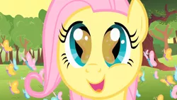 Size: 1280x720 | Tagged: safe, derpibooru import, screencap, fluttershy, butterfly, pony, the cutie mark chronicles, close-up, female, filly, filly fluttershy, so many wonders, solo, younger