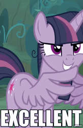 Size: 706x1080 | Tagged: safe, derpibooru import, edit, edited screencap, screencap, mean twilight sparkle, twilight sparkle, alicorn, pony, the mean 6, animated, caption, clone, cropped, determination, everfree forest, evil, evil grin, excellent, forest, gif, gifs.com, grin, image macro, meme, perfect loop, simpsons did it, smiling, solo, text, the simpsons, wings