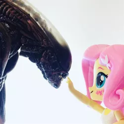 Size: 960x960 | Tagged: safe, derpibooru import, fluttershy, alien, xenomorph, equestria girls, alien (franchise), doll, equestria girls minis, eqventures of the minis, neca, this will end in tears, toy