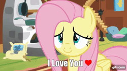 Size: 640x360 | Tagged: safe, derpibooru import, edit, edited screencap, screencap, fluttershy, butterfly, pegasus, pony, fluttershy leans in, animated, bronybait, caption, cute, daaaaaaaaaaaw, female, floppy ears, fluttershy's cottage, gif, gifs.com, happy, heart, hnnng, i love you, mare, shyabetes, smiling, solo, weapons-grade cute, wide eyes