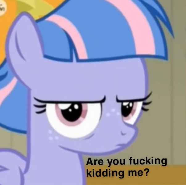 Size: 956x951 | Tagged: safe, derpibooru import, edit, edited screencap, screencap, wind sprint, pegasus, pony, common ground, are you kidding me, caption, female, filly, freckles, grumpy, image macro, low quality, pink eyes, reaction image, really?, serious, serious face, solo, text, vulgar, wind sprint is not amused