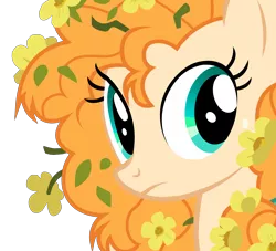 Size: 7700x7000 | Tagged: safe, artist:igokapichka, derpibooru import, pear butter, earth pony, pony, the perfect pear, beautiful, bust, cute, female, flower, flower in hair, frown, mare, messy mane, pearabetes, simple background, solo, transparent background, vector