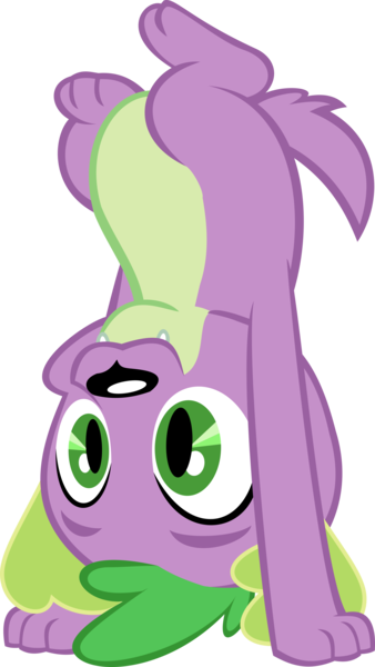 Size: 2090x3710 | Tagged: safe, alternate version, artist:red4567, derpibooru import, spike, spike the regular dog, dog, equestria girls, handstand, missing accessory, pawstand, simple background, solo, transparent background, upside down, vector, yoga