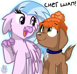 Size: 835x800 | Tagged: artist:rainbow eevee, collar, cyrillic, derpibooru import, dog, hat, hippogriff, open mouth, paw patrol, puppy, russian, safe, silverstream, simple background, smiling, text, white background, zuma