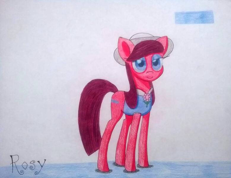Size: 1140x878 | Tagged: safe, artist:dialysis2day, derpibooru import, oc, oc:rosy, earth pony, pony, clothes, female, hat, mare, shirt, solo, traditional art