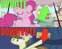 Size: 668x535 | Tagged: safe, derpibooru import, edit, edited screencap, editor:undeadponysoldier, screencap, pinkie pie, roma, earth pony, pony, putting your hoof down, arrow, caption, downvote, eyes closed, female, fighting over opinions, funny, hat, image macro, mare, market, pointing, ponyville, sign, text, upvote, voting, wrong aspect ratio