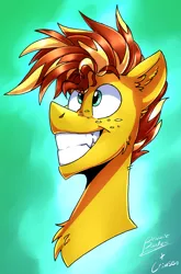 Size: 2370x3601 | Tagged: safe, artist:crimmo, artist:drizziedoodles, derpibooru import, oc, oc:honey drizzle, pony, abstract background, bust, freckles, grin, male, smiling