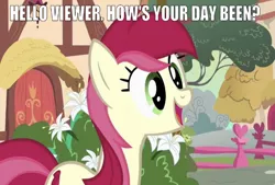 Size: 669x452 | Tagged: safe, derpibooru import, edit, edited screencap, editor:undeadponysoldier, screencap, roseluck, earth pony, pony, breaking the fourth wall, bush, cute, female, fence, flower, heart, looking at you, mare, open mouth, ponyville, question mark, smiling, solo, talking to viewer