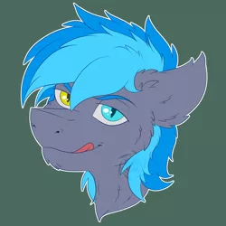 Size: 3000x3000 | Tagged: safe, artist:fkk, derpibooru import, oc, oc:midnight snowstorm, unofficial characters only, bat pony, pony, bat pony oc, bat wings, bust, commission, heterochromia, male, portrait, solo, stallion, wings