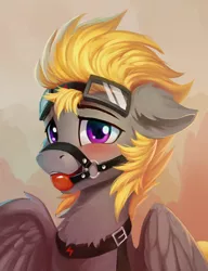 Size: 1218x1587 | Tagged: suggestive, artist:draconidsmxz, derpibooru import, oc, oc:aj, unofficial characters only, pegasus, pony, ballgag, blushing, bridle, chest fluff, collar, cute, ear fluff, floppy ears, fluffy, gag, glasses, goggles, harness, male, malesub, solo, solo male, spread wings, stallion, submissive, tack, wings