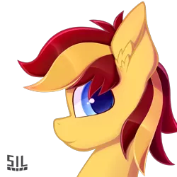 Size: 2000x2000 | Tagged: safe, artist:silshadnic, deleted from derpibooru, derpibooru import, oc, oc:archi sketch, pony, bust, looking at you, portrait, simple background, solo