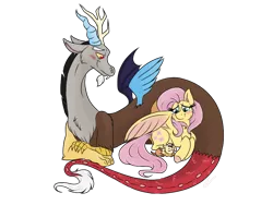 Size: 1024x768 | Tagged: safe, artist:emz2015, derpibooru import, discord, fluttershy, oc, oc:sweet disarray, draconequus, hybrid, pegasus, pony, blushing, discoshy, draconequus oc, explicit source, family, female, floppy ears, interspecies offspring, male, mare, offspring, parent:discord, parent:fluttershy, parents:discoshy, prone, shipping, simple background, sleeping, smiling, spread wings, straight, transparent background, wings