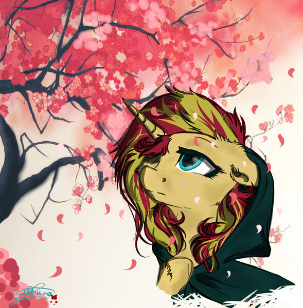 Size: 1020x1039 | Tagged: source needed, safe, artist:yuris, derpibooru import, sunset shimmer, pony, unicorn, cheek fluff, cherry blossoms, ear fluff, flower, flower blossom, hair over one eye, hood, japan, leg fluff, solo