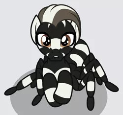 Size: 1478x1391 | Tagged: safe, artist:badumsquish, derpibooru import, oc, unofficial characters only, hybrid, monster pony, original species, spider, spiderpony, zebra, zebra spider, cropped, high angle, looking at you, looking up, male, nervous, pun, scared, simple background, solo, visual pun, zoomed in