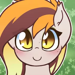 Size: 400x400 | Tagged: safe, artist:puetsua, derpibooru import, oc, oc:aurum fruitage, unofficial characters only, bat pony, pony, abstract background, avatar, bat pony oc, bat wings, blushing, bust, female, freckles, mare, portrait, slit eyes, smiling, solo, wings