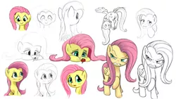 Size: 600x338 | Tagged: safe, artist:fipoki, derpibooru import, fluttershy, pony, angry, blushing, chest fluff, cute, featureless crotch, flower, lidded eyes, multeity, practice, practice drawing, shyabetes, simple background, white background