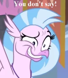 Size: 345x392 | Tagged: caption, cropped, cute, derpibooru import, diastreamies, edit, edited screencap, female, funny, funny face, great moments in animation, hippogriff, image macro, meme, safe, screencap, she's all yak, silverstream, solo, text, you don't say, youdontsay!, you look so weird