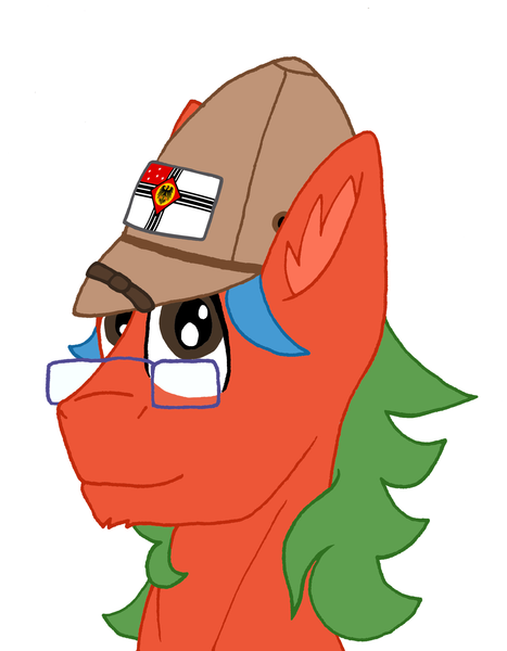 Size: 2597x3336 | Tagged: safe, artist:summerium, derpibooru import, oc, oc:summer lights, unofficial characters only, pegasus, pony, bust, flag, glasses, male, mittelafrika, mixed media, portrait, salacot