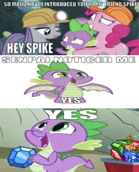 Size: 660x816 | Tagged: safe, derpibooru import, edit, edited screencap, editor:undeadponysoldier, screencap, maud pie, pinkie pie, spike, dragon, earth pony, pony, a dog and pony show, rock solid friendship, bad quality, caption, female, gem cave, gemstones, helmet, image macro, male, mare, maudspike, meme, mike, mining helmet, notice me senpai, peanut butter gamer, reference, senpai, senpai noticed me, shipping, straight, text, wagon, winged spike, wrong aspect ratio